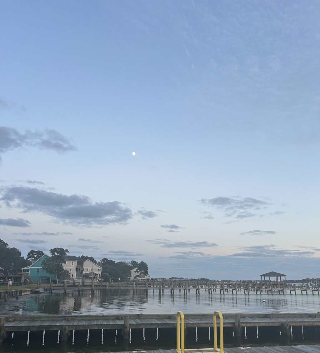 The Desire to be&nbsp;Uprooted